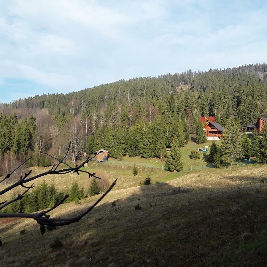 Oryavchik Country House Oryavchyk Esterno foto